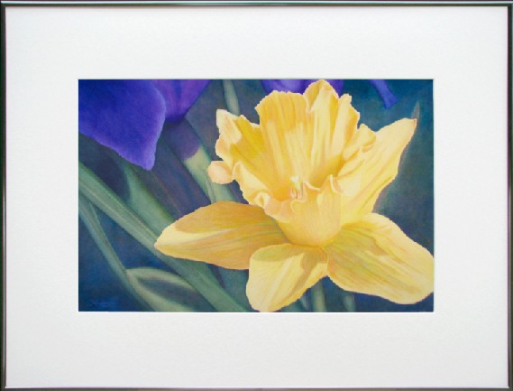 Daffodil