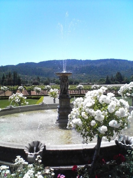 Water & Flowers