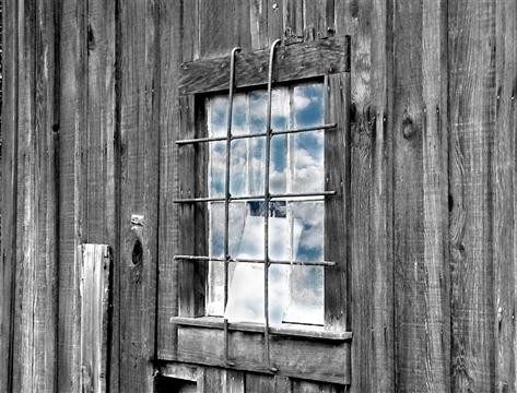 window