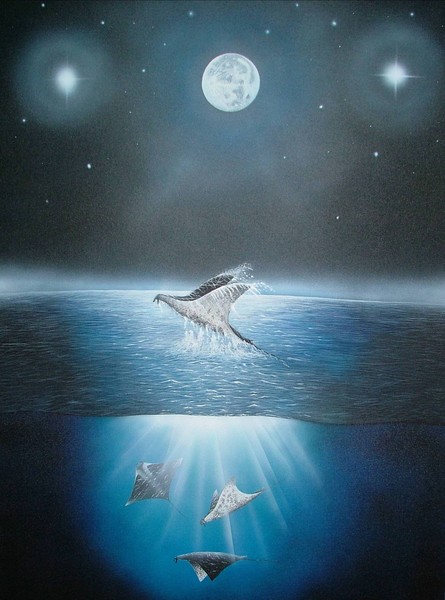 Midnight Flight