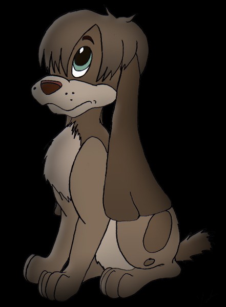 Pooka