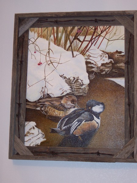 Hooded Mergansers (2)