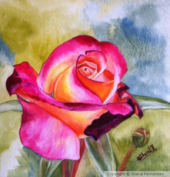Rose