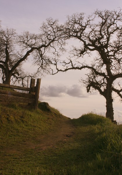 Bike trail
