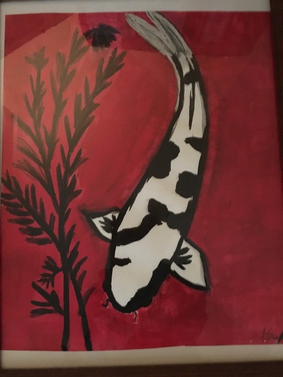 Koi