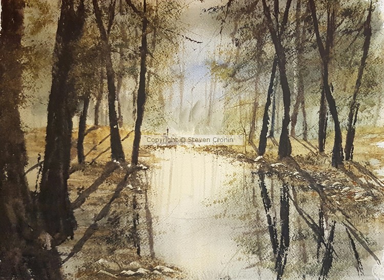 Sutton Park Watercolour Painting by Steven Cronin