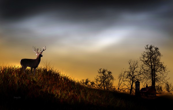 Hill Top