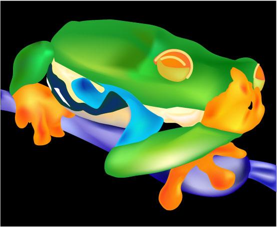 Frog