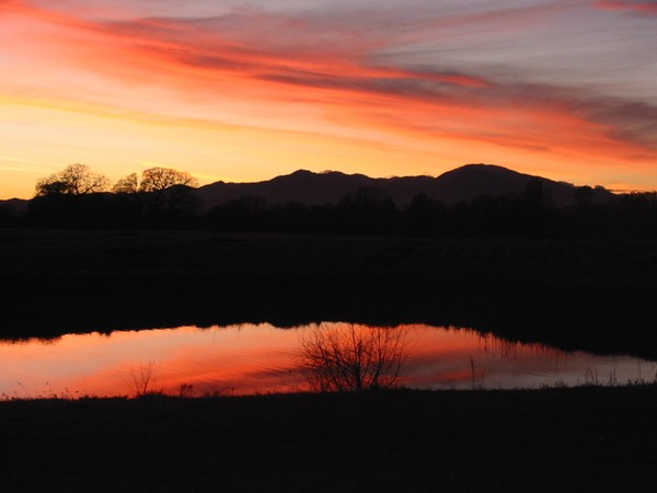 beautiful sunset