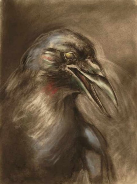 Crow