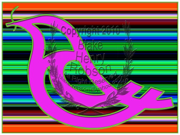 Robins Industries notions digital edit