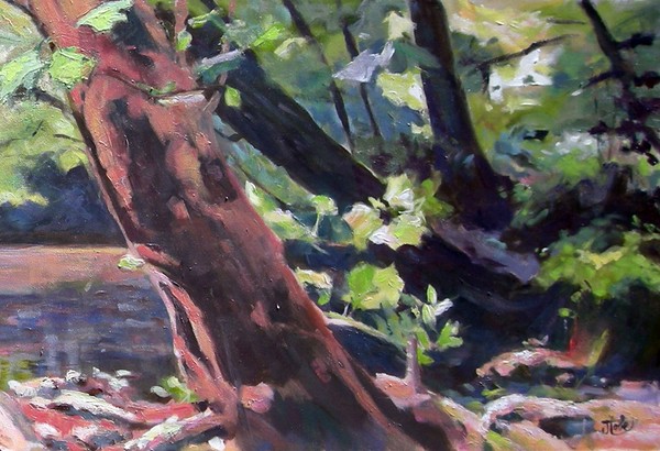 LEANING TREE on the Eno River