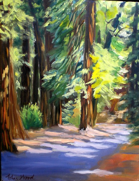Armstrong Redwoods