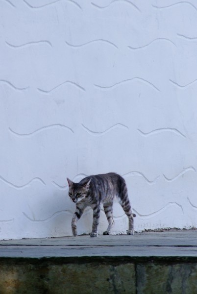 Walking next to wall
