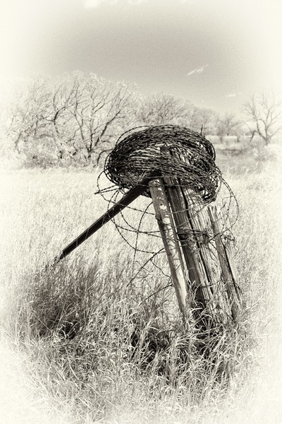 Antique Barbwire