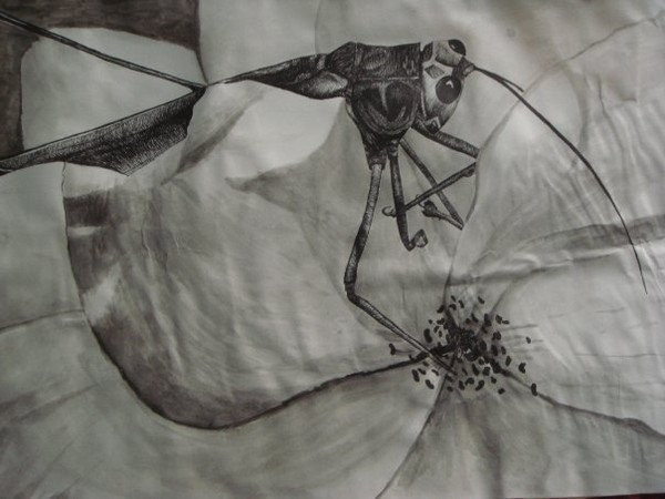 Bug's life