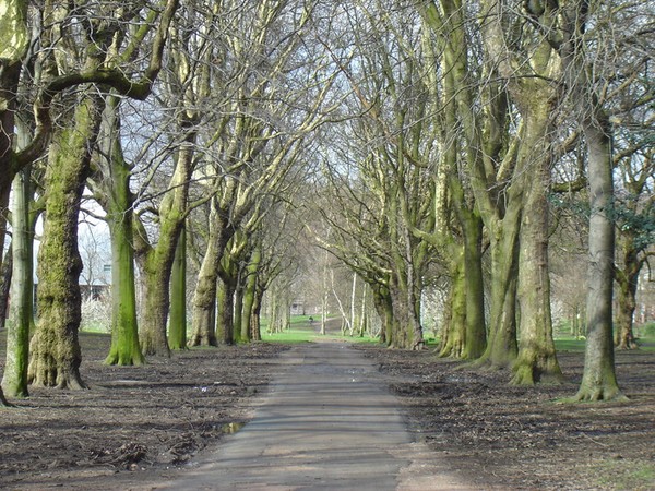 Which way now..?