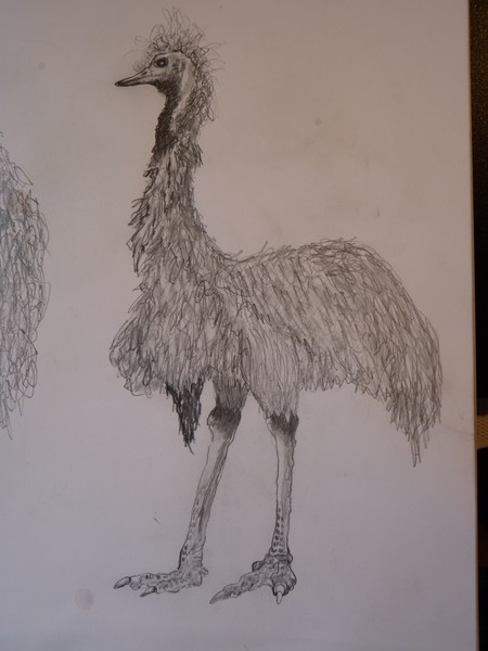 Emu