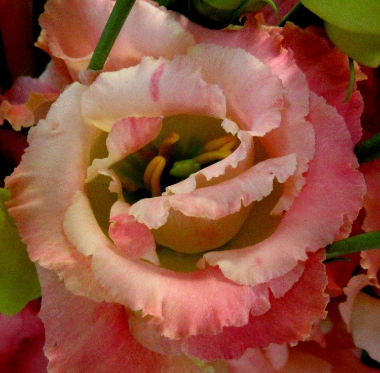 HHAPPY FRIDAY AND A NICE WEEKEND AHEAD!
