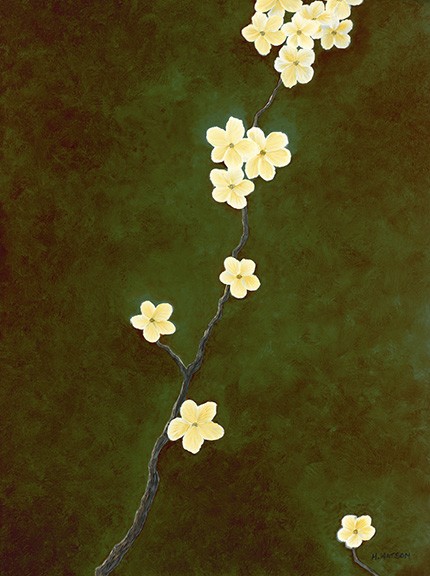 White Flowers