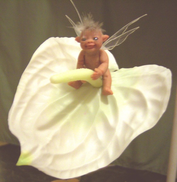 anthurium fairy