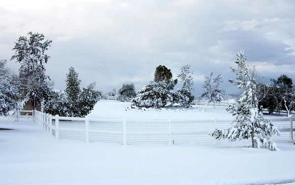 Winter