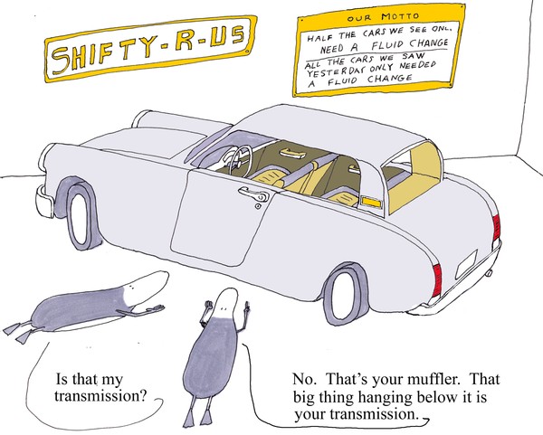 your muffler