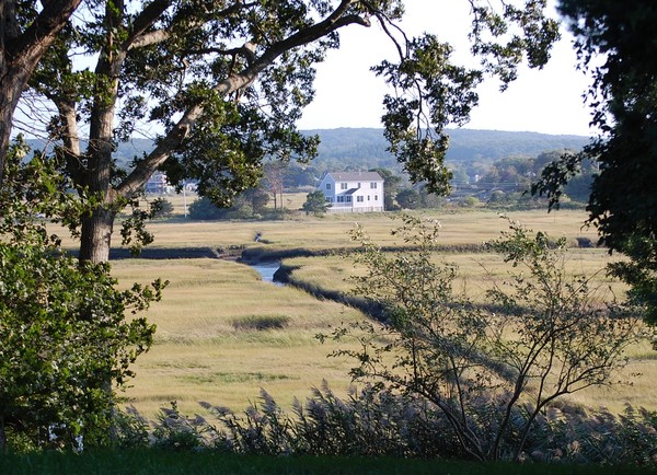 Ocean Marshland