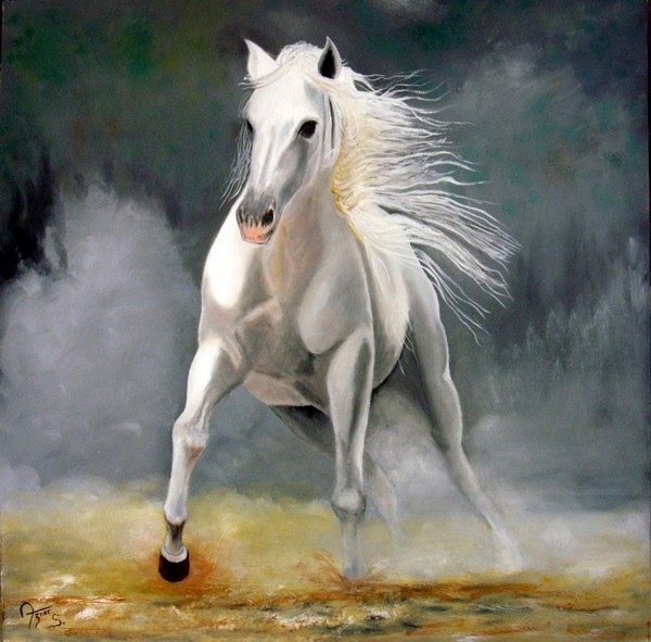 Horse in the Camargue 1