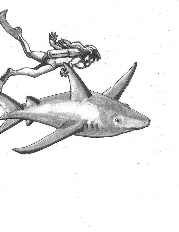 Scuba Diver Shark (grey and black)