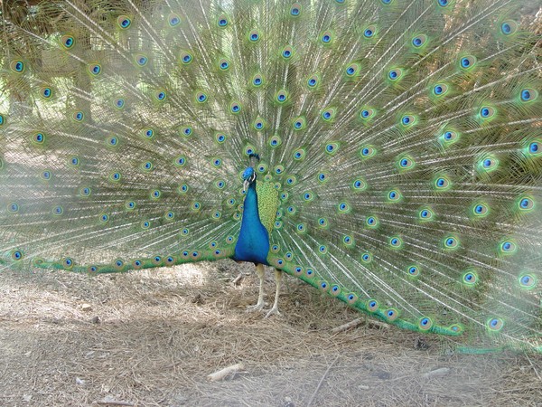Don't hate me because I'm beautiful.....