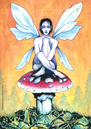 Dayfairy