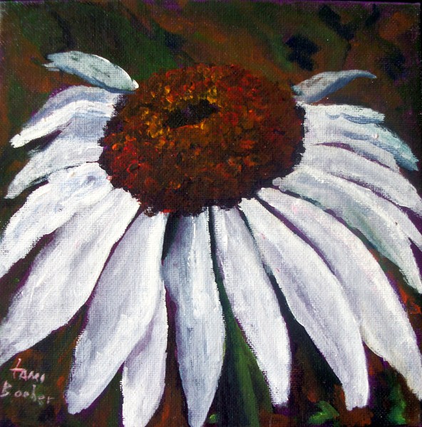 White Cone Flower