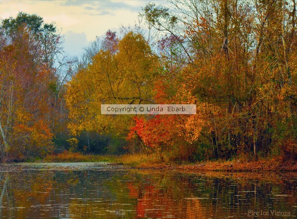 Fall+Cornecopia+w sig 975791686 O