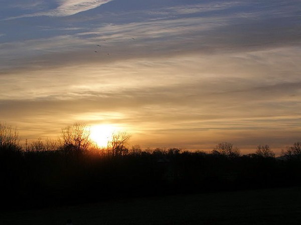 Good Morning Sunshine