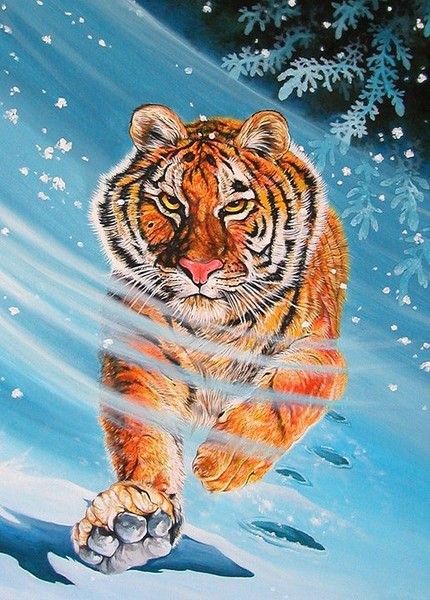 Siberian Fury
