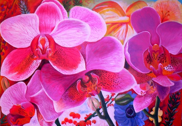 Orchids