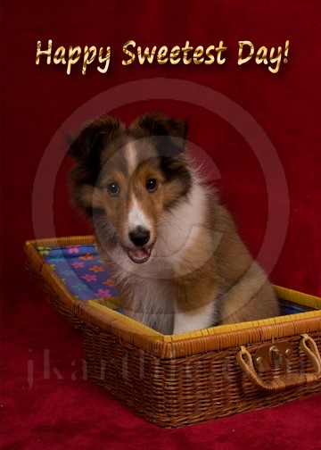 Happy Sweetest Day Puppy 918294
