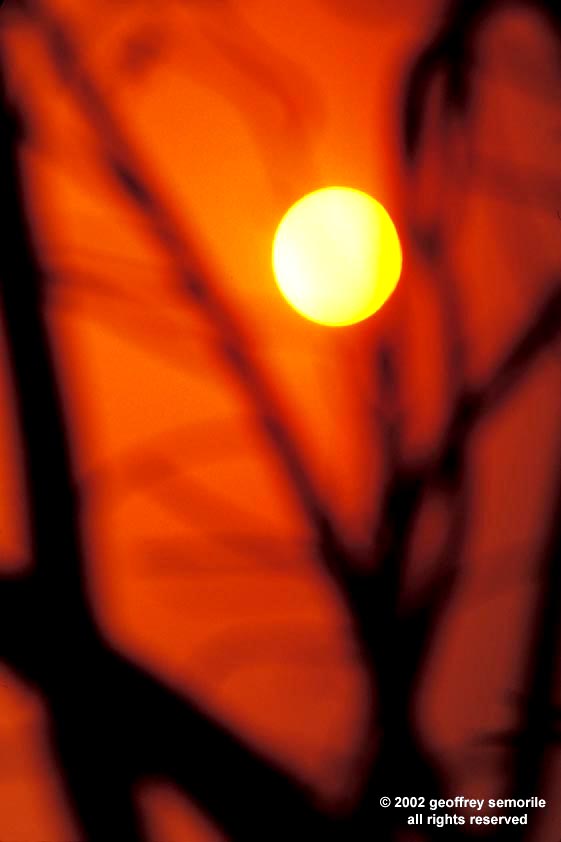 ABSTRACT AFRICAN SUNSET