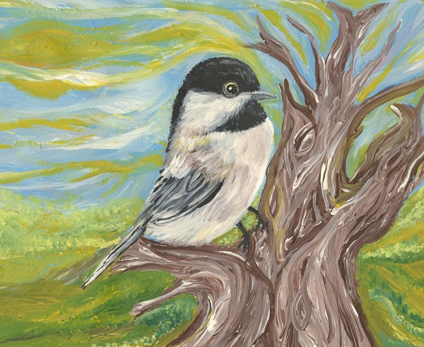 Chickadee in a tree