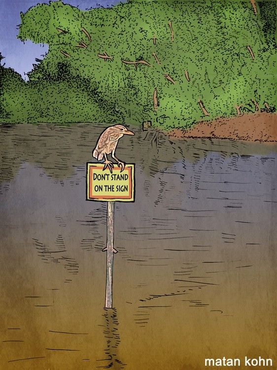 Bird on sign