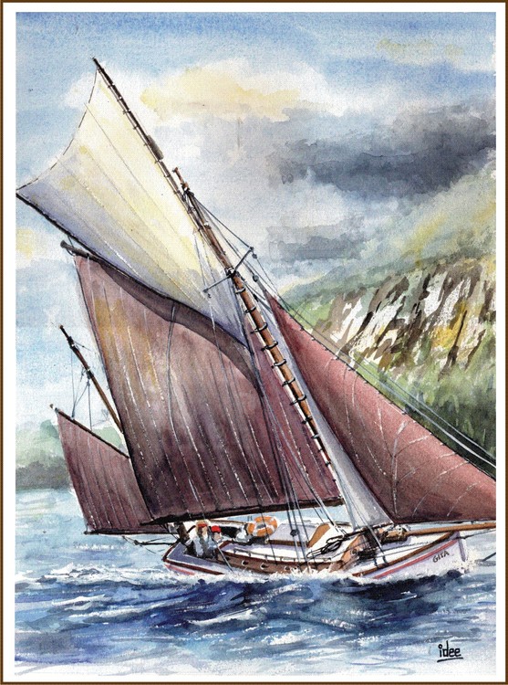 Racing lugger