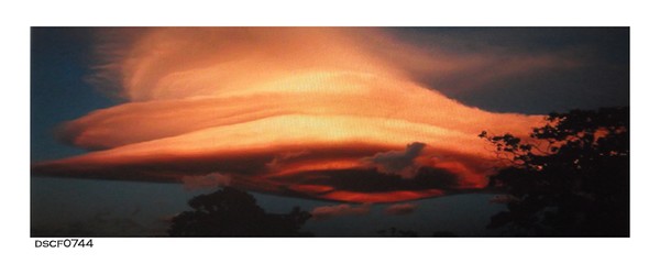 DSCF0744