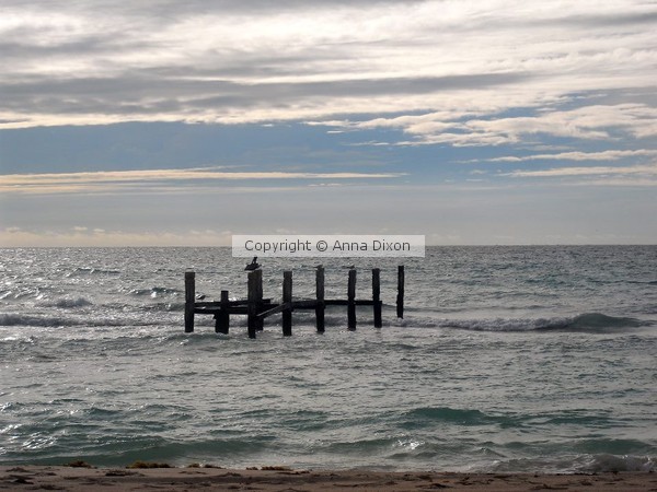 Lone Dock At Sea