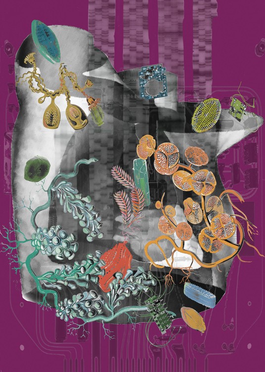 Amalgamated Fragmentation / Plastisphere-Body 2