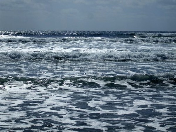Pacific Ocean Waves 