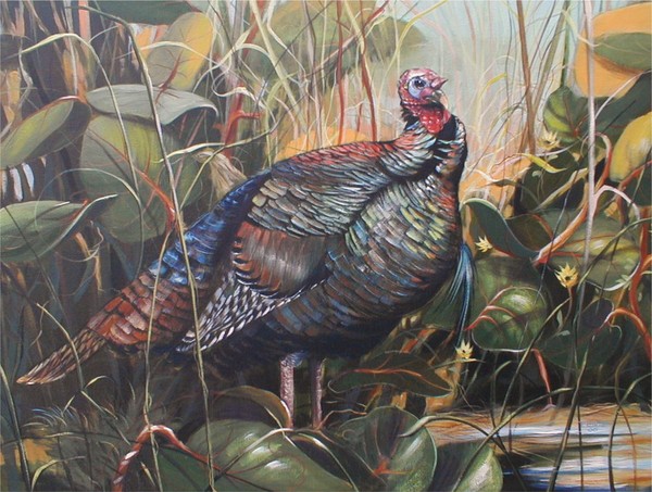 Florida Turkey