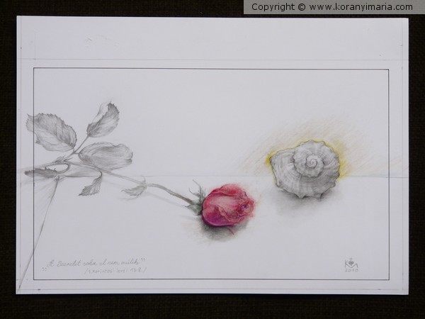 Rose & Shell