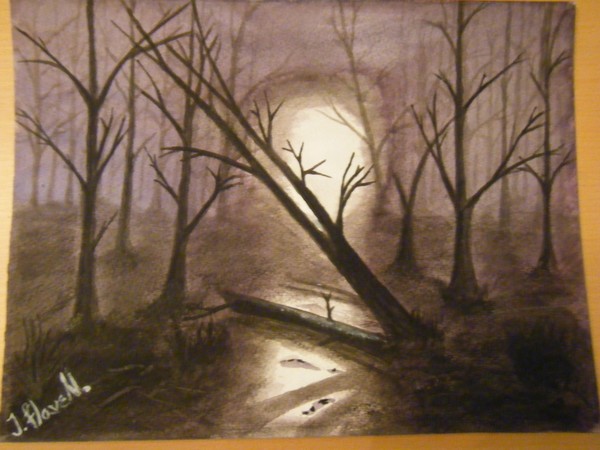 misty woods
