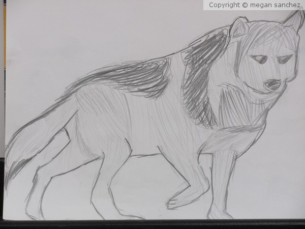 wolf